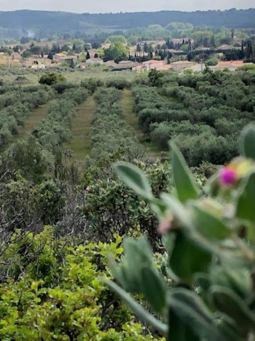 La Pitchoune : Gite Aux Pieds Des Alpilles Mouries Esterno foto