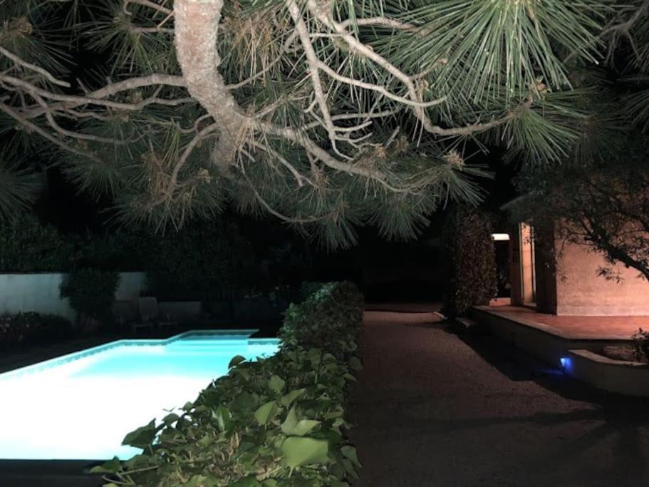 La Pitchoune : Gite Aux Pieds Des Alpilles Mouries Esterno foto